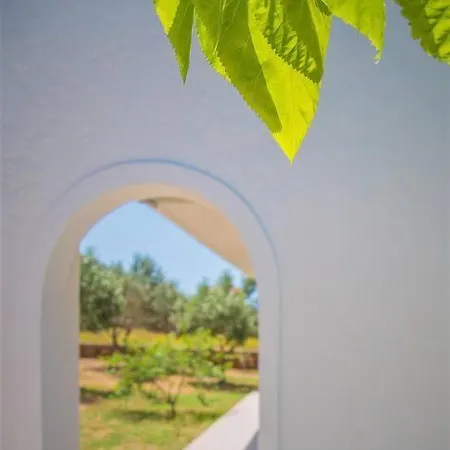 Androshouses Gr - Agios Petros - Bachelor Apartament *